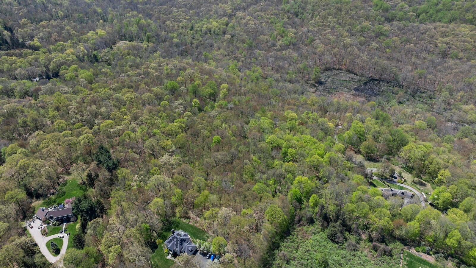 View Photo