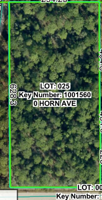 Plus de détails pour Horn Ave, Brooksville, FL - Terrain à vendre