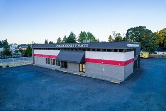 Plus de détails pour 9691 SE 82nd Ave, Happy Valley, OR - Local commercial à vendre
