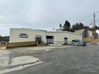 Plus de détails pour 548 W Woodstock Rd, Woodstock, VT - Local commercial à vendre
