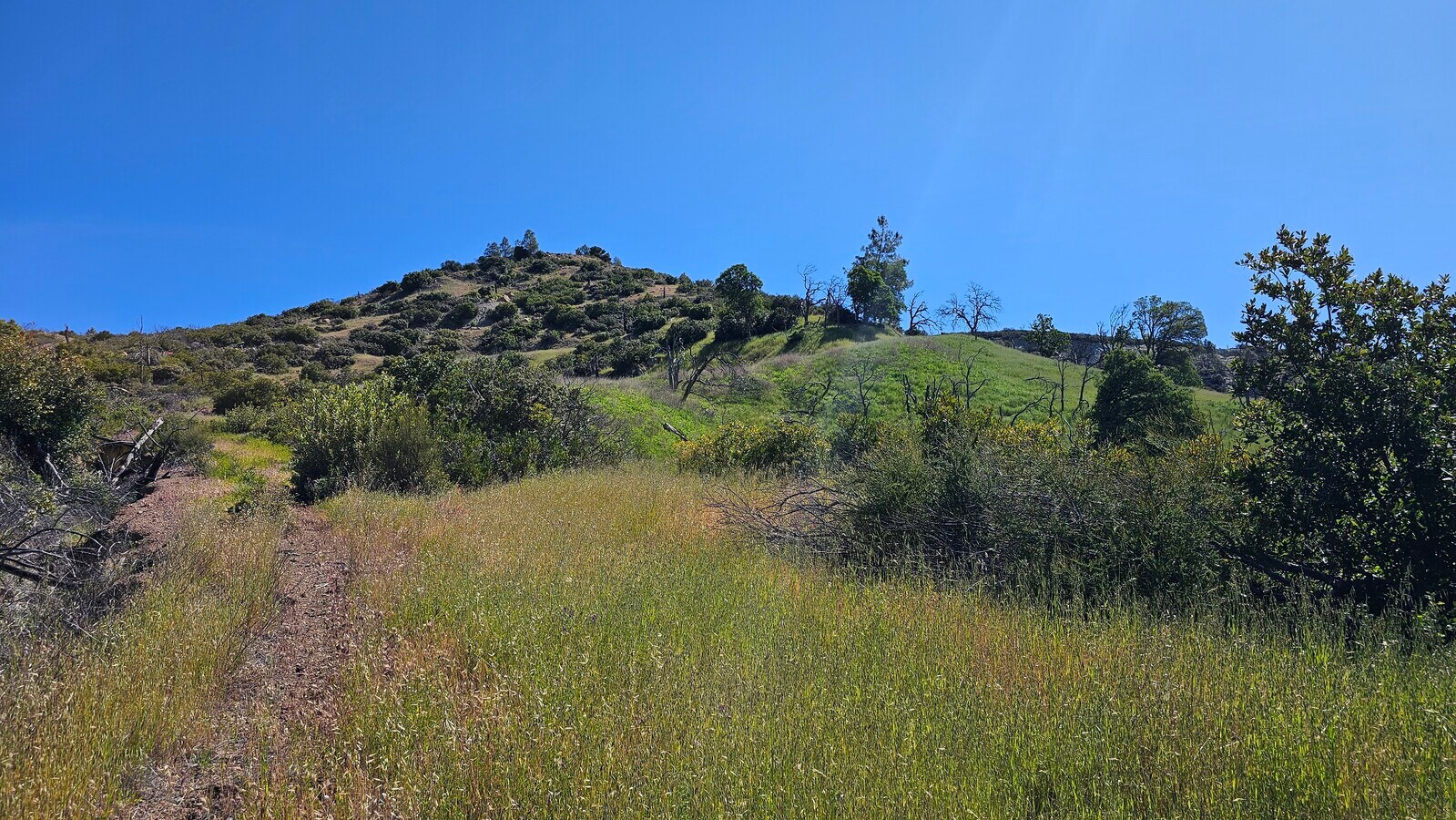 View Photo