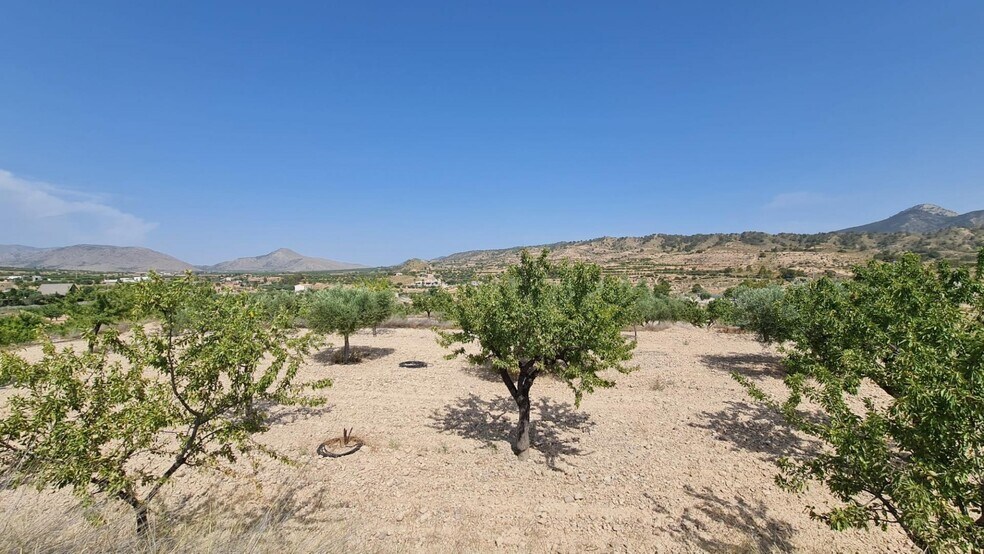 Terrain dans Abanilla, Murcia à vendre - Aérien – Image 3 sur 10