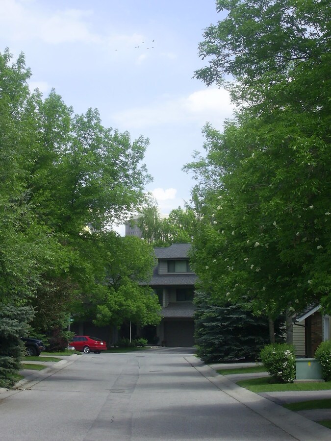 View Photo