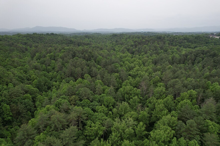 320 Kirksey dr, Morganton, NC à vendre - Photo de l’immeuble – Image 3 sur 18