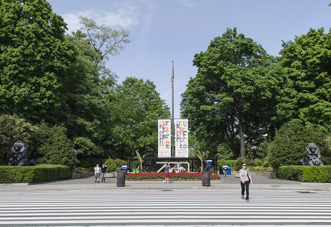View Photo