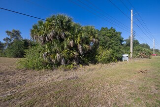 Plus de détails pour 12990 Tamiami Trl, North Port, FL - Terrain à vendre