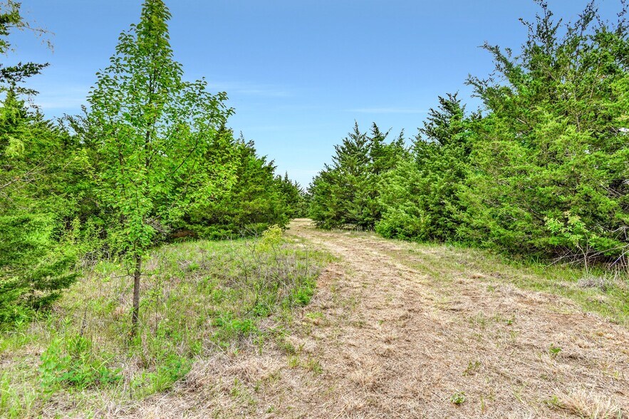 TBD Airport Rd rd, Tioga, TX à vendre - Photo de l’immeuble – Image 2 sur 28