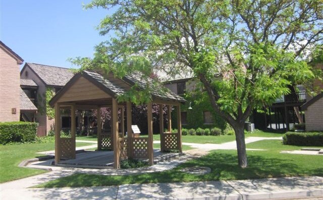 View Photo