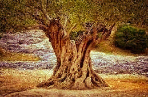 Valenciana, CASTELLÓN DE LA PLANA, Castellón à vendre - Photo de l’immeuble – Image 2 sur 2