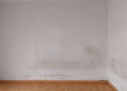 Interior local