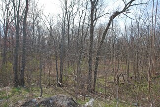 Plus de détails pour 16-18 Myers Corners Rd, Wappingers Falls, NY - Terrain à vendre