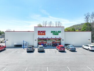 Plus de détails pour 58 Main St, Lawrenceville, PA - Local commercial à vendre