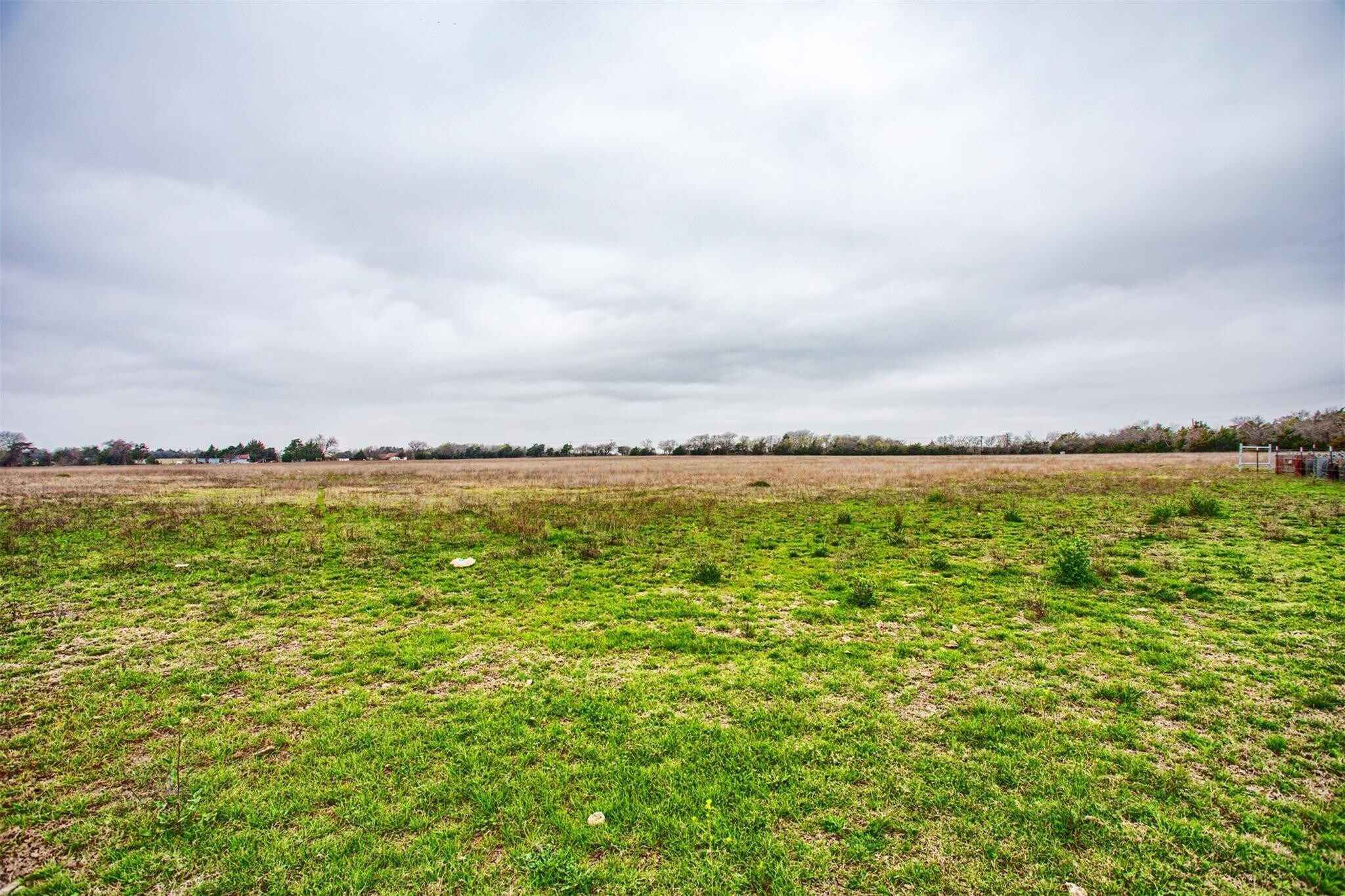 1414 S Bluegrove Rd, Lancaster, TX à vendre Autre– Image 1 sur 39