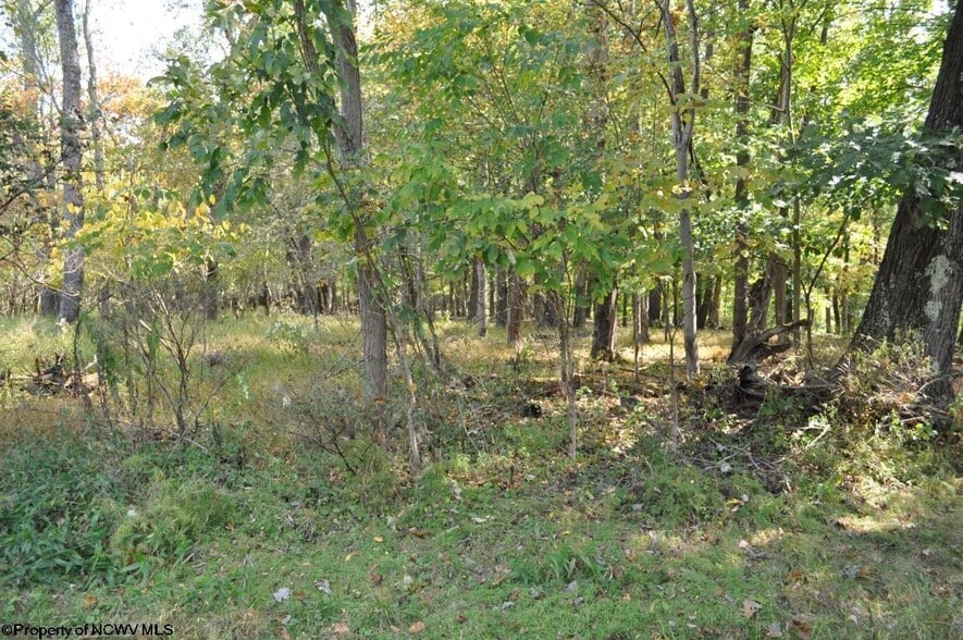 3039 Earl L Core Rd, Morgantown, WV à vendre - Autre – Image 3 sur 9