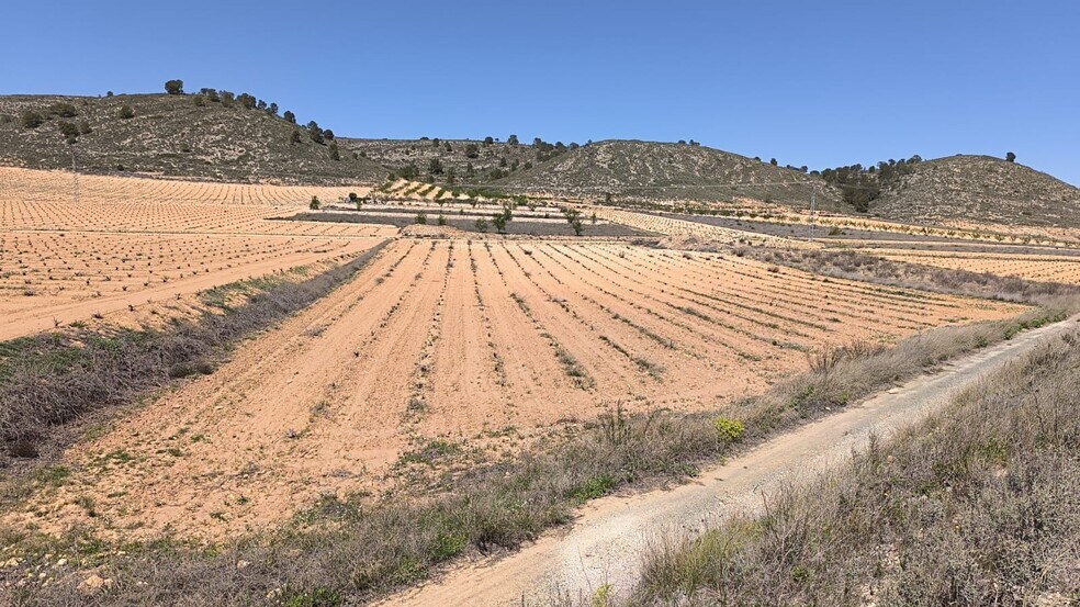 Terrain dans Abanilla, Murcia à vendre - Photo de l’immeuble – Image 3 sur 4