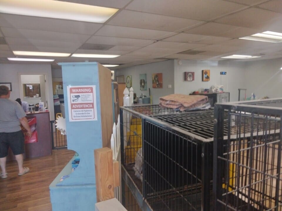 1011 SE Walnut St, Hillsboro, OR à louer Photo intérieure– Image 1 sur 1