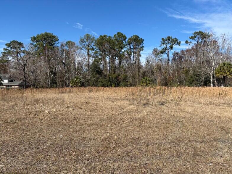 1000 Cooks Lane, Green Cove Springs, FL à vendre - Photo principale – Image 1 sur 24