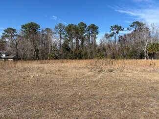 Plus de détails pour 1000 Cooks Lane, Green Cove Springs, FL - Terrain à vendre
