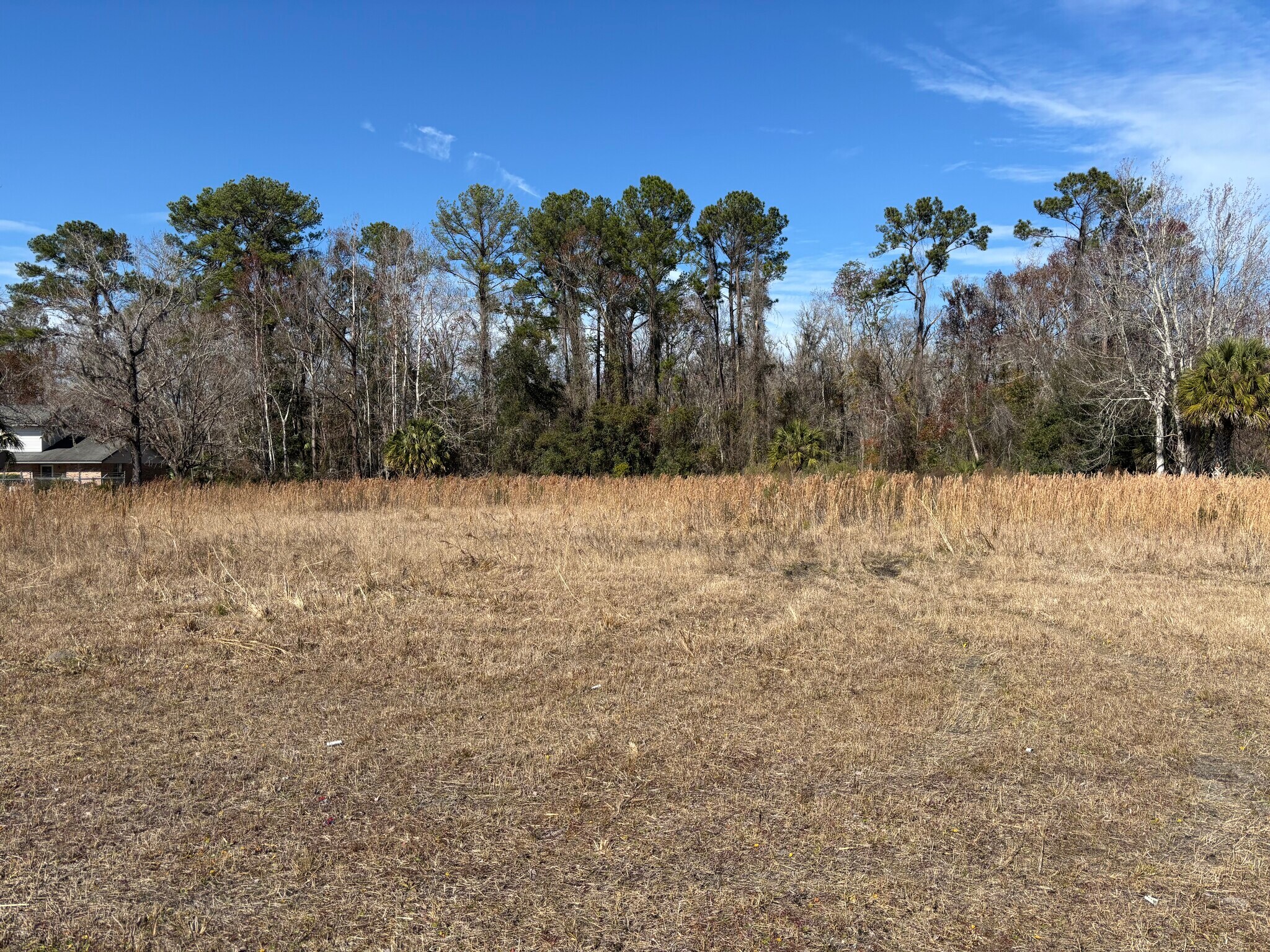 1000 Cooks Lane, Green Cove Springs, FL à vendre Photo principale– Image 1 sur 25