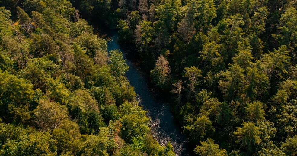 0 Old Rock Creek Rd, Blue Ridge, GA à vendre - Photo de l’immeuble – Image 3 sur 24