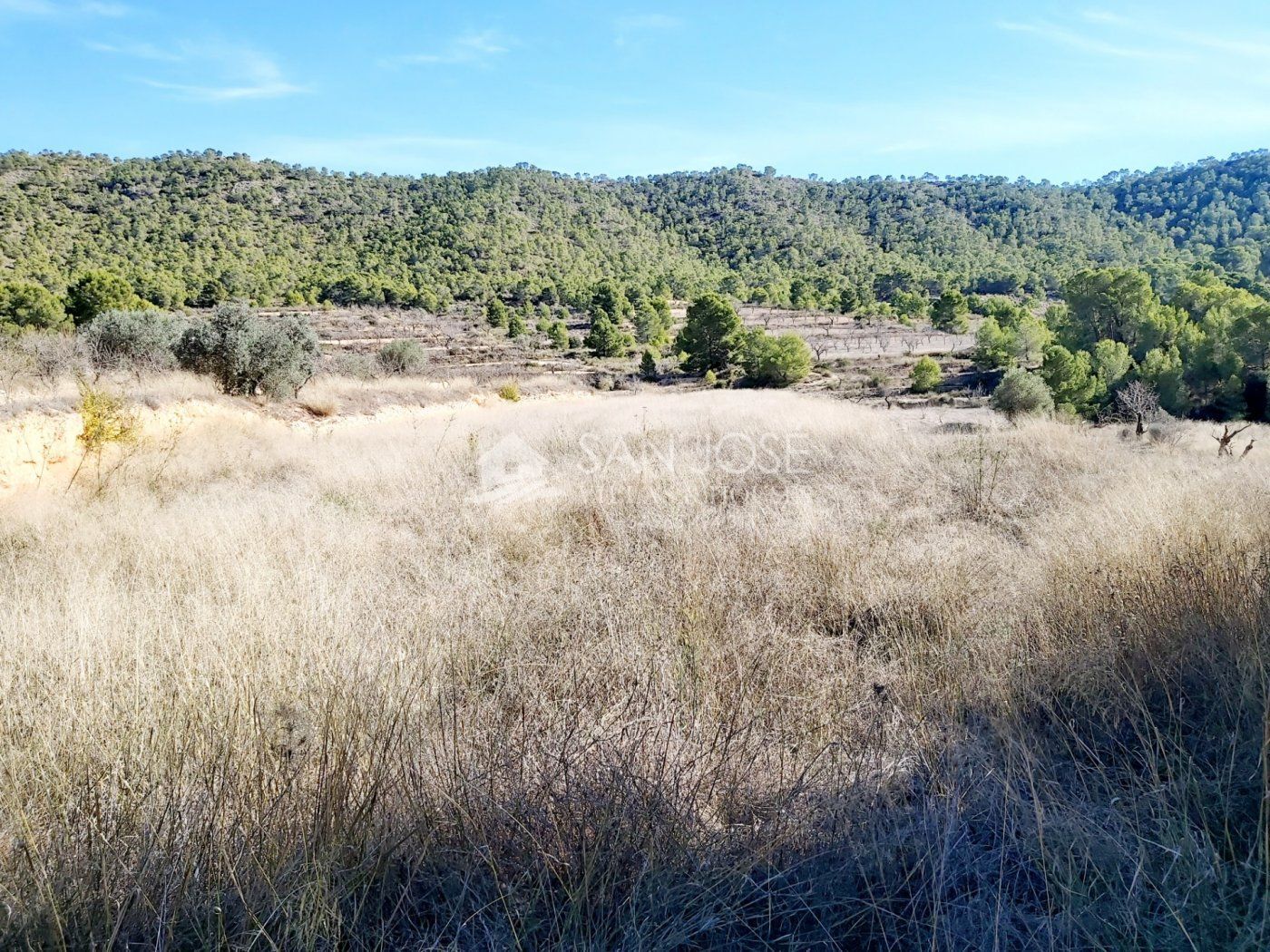 Terrain dans La Romana, Alicante à vendre Aérien– Image 1 sur 4