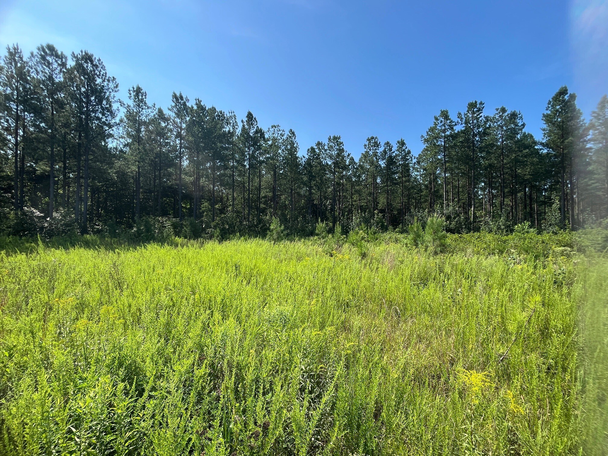 001 Johnson Rd, Mineral, VA à vendre Aérien– Image 1 sur 12