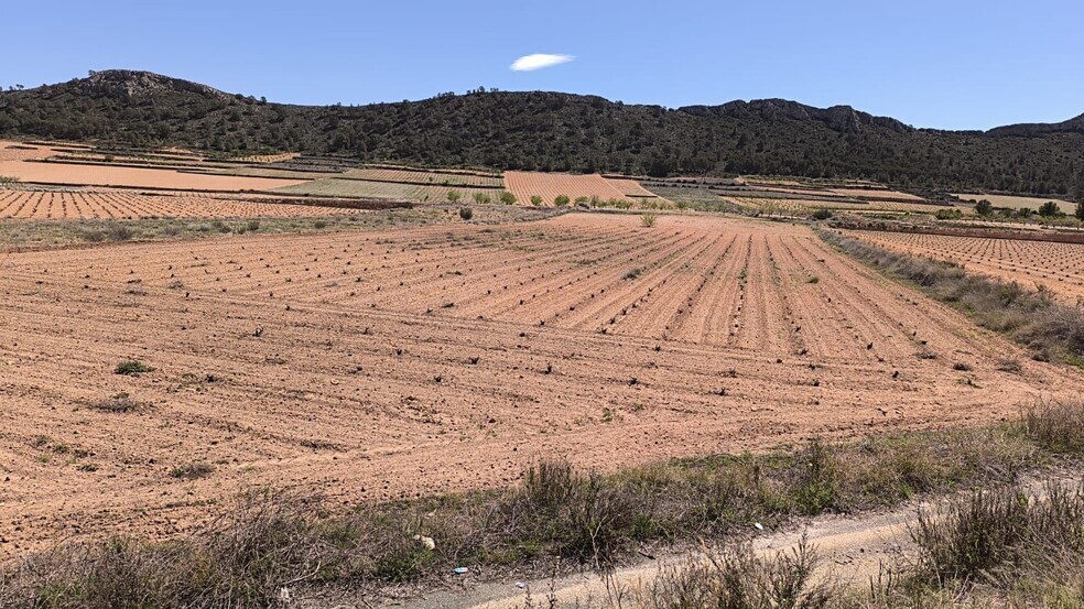 Terrain dans Abanilla, Murcia à vendre - Photo principale – Image 2 sur 4