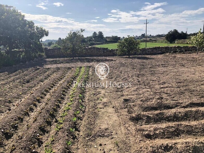 Terrain dans L'Argilaga, Tarragona à vendre - Photo de l’immeuble – Image 3 sur 10