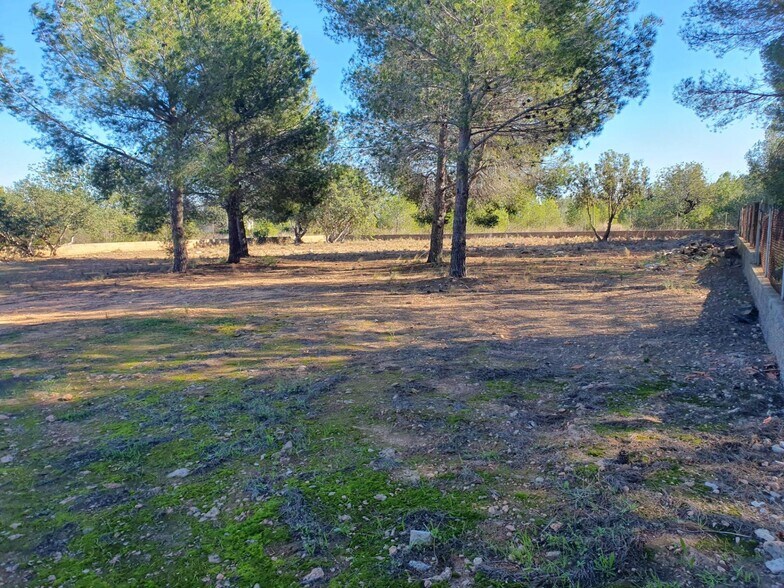 Terrain dans La Pobla de Vallbona, Valencia à vendre - Photo principale – Image 3 sur 5