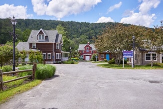 Plus de détails pour 1463-1471 Denning Rd, Claryville, NY - Local commercial à vendre