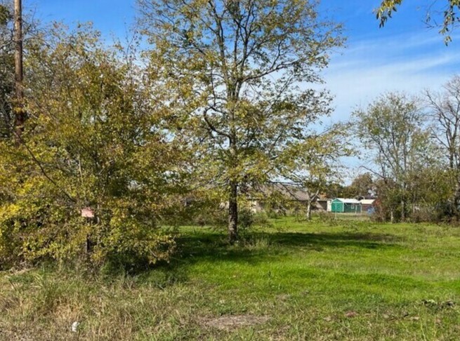 116 W Chestnut St, Mabank, TX à vendre Photo de l’immeuble– Image 1 sur 3
