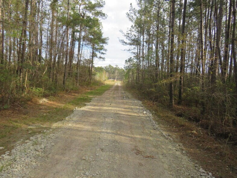T.B.D. Finnell Road, Little River, SC à vendre - Photo de l’immeuble – Image 3 sur 4