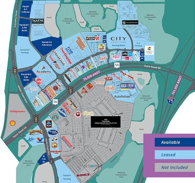 Wesley Chapel Blvd, Lutz, FL à louer - Photo de l’immeuble – Image 2 sur 3