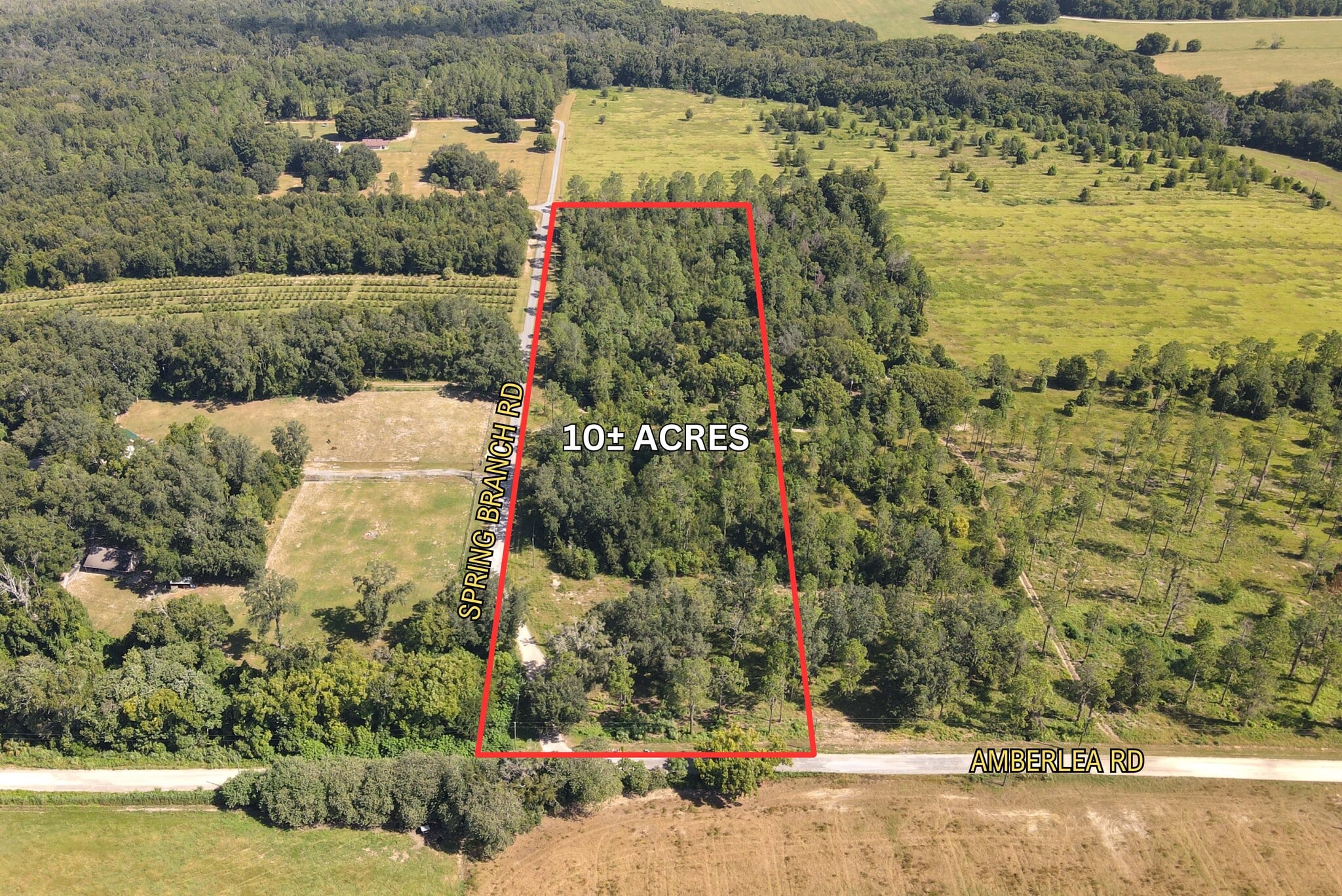 Amberlea Rd & Spring Branch Rd., Dade City, FL à vendre Aérien– Image 1 sur 11