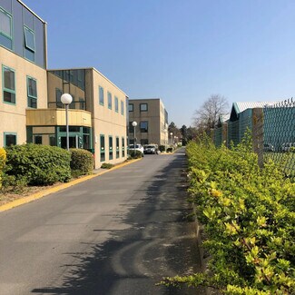 Plus de détails pour 101 Chemin De Ronde, Croissy-sur-Seine - Local d'activités à louer