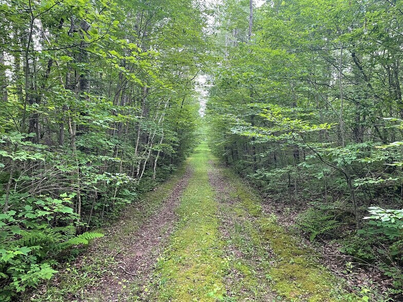 Hogsback Road, Exeland, WI à vendre - Photo de l’immeuble – Image 2 sur 15