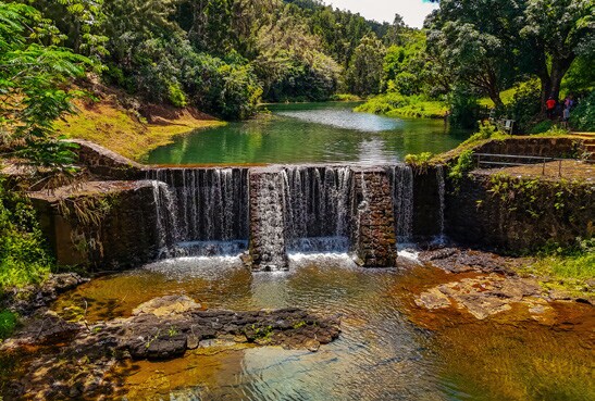 5-2723 Kuhio Hwy, Kilauea, HI à vendre - Photo de l’immeuble – Image 2 sur 10