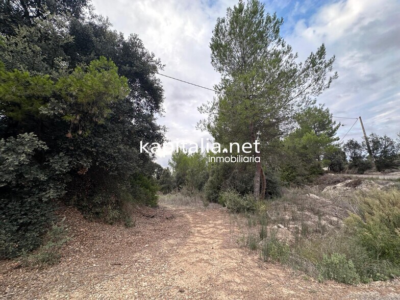 Terrain dans Alfafara, Alicante à vendre - Photo principale – Image 1 sur 5