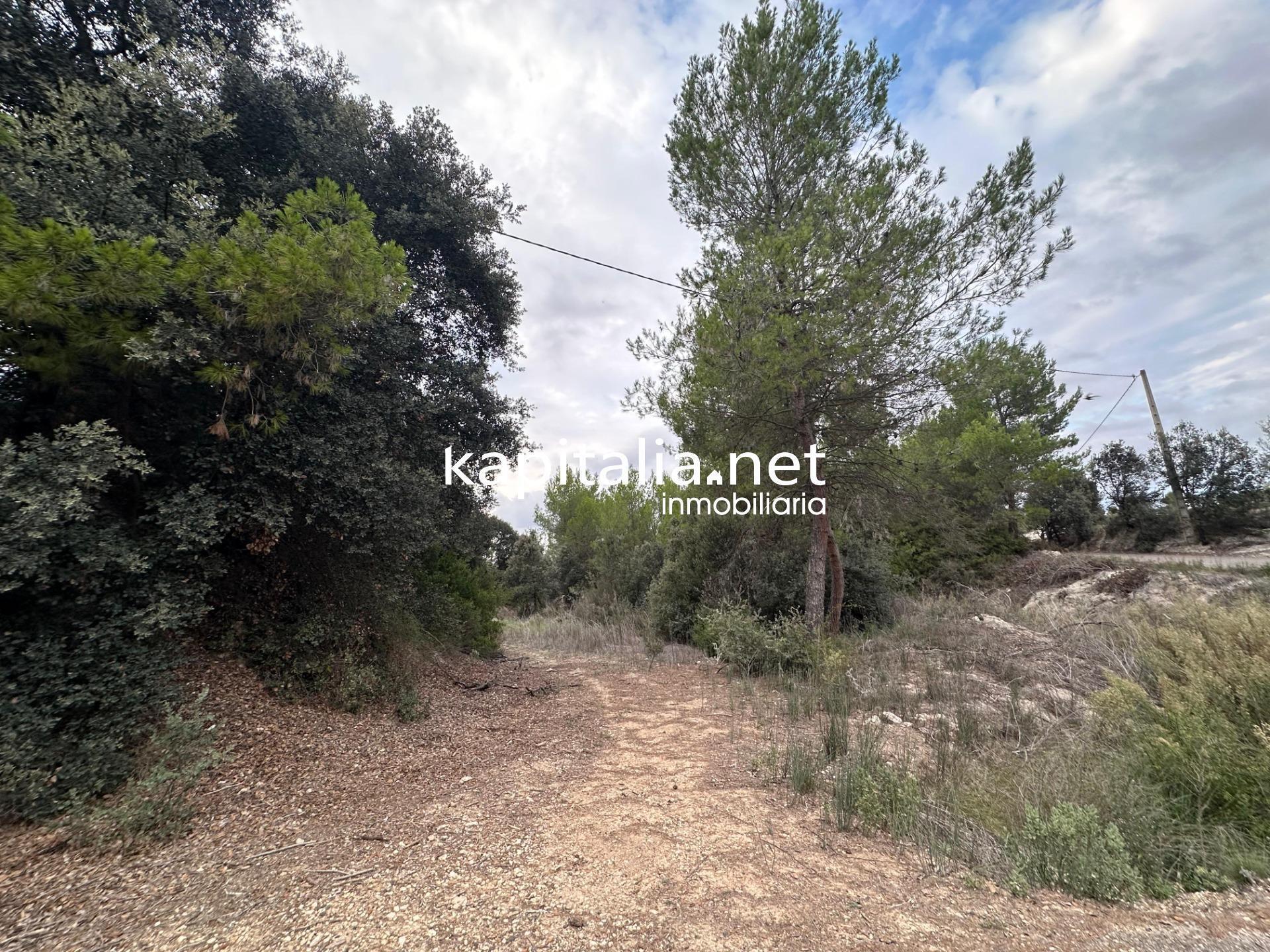 Terrain dans Alfafara, Alicante à vendre Photo principale– Image 1 sur 6
