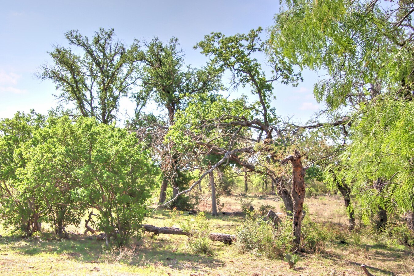 View Photo