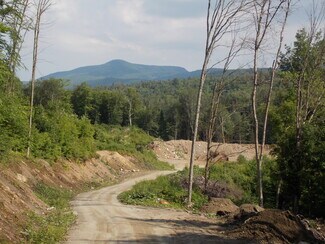 Plus de détails pour 939 US Route 5, Sutton, VT - Terrain à vendre