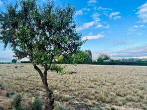 Partida las Tiesas, 53, Villena, ALI - Vue aérienne vue de carte - Image1