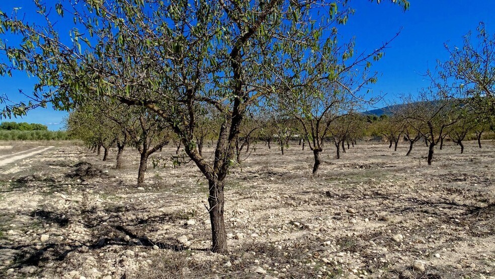 Pocido, La Font de la Figuera, Valencia à vendre - Photo de l’immeuble – Image 1 sur 21
