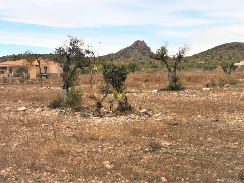 Terrain dans Salinas, Alicante à vendre - Photo principale – Image 2 sur 5