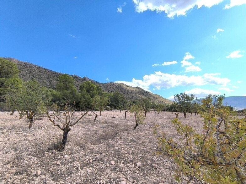 Terrain dans Yecla, Murcia à vendre - Photo principale – Image 2 sur 9