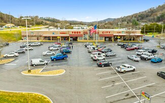 Plus de détails pour 4344 Maynardville Hwy, Maynardville, TN - Local commercial à vendre