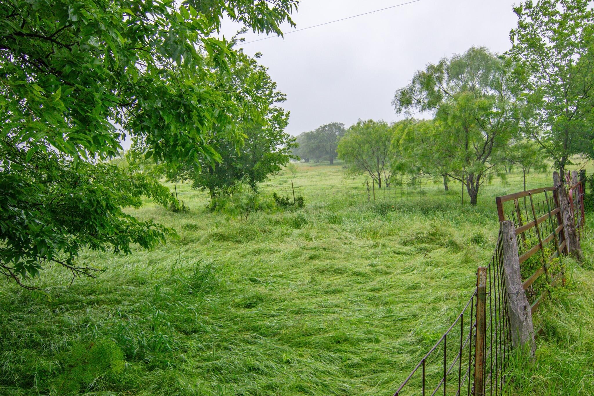 TBD Cr 210, Comanche, TX à vendre Photo principale– Image 1 sur 9