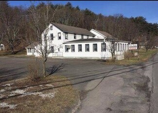 Plus de détails pour 335 Main St, Cairo, NY - Local commercial à vendre