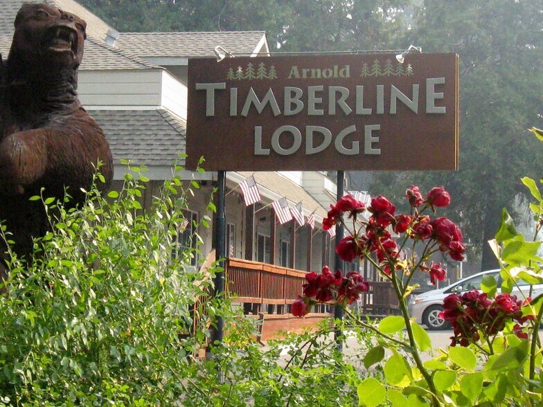 890 Highway 4, Arnold, CA à vendre - Photo de l’immeuble – Image 1 sur 21