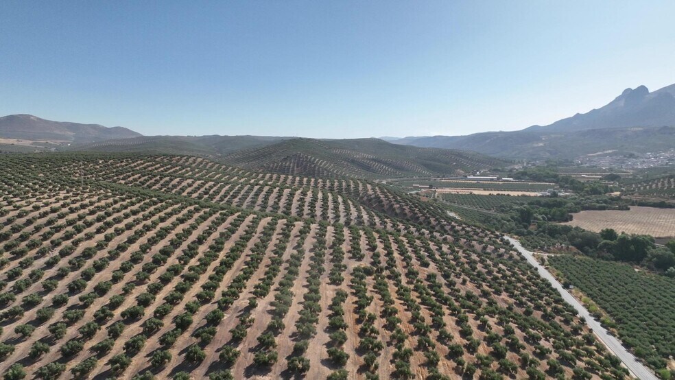 Terrain dans Granada, Granada à vendre - Aérien – Image 2 sur 25